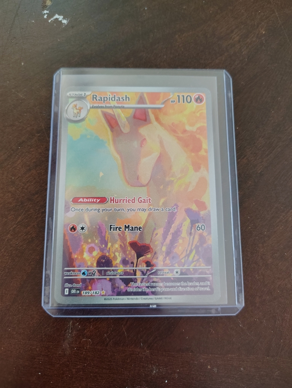 Pokemon Rapidash Illustration Rare